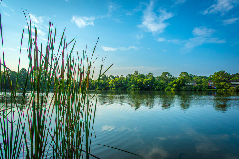 KRC Northlake Townhomes lake view